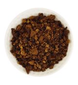 Čaga sibírska (huba)